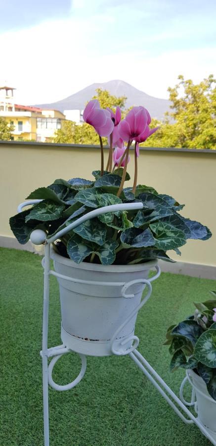 Pompei Vesevus Apartament Boscotrecase 外观 照片