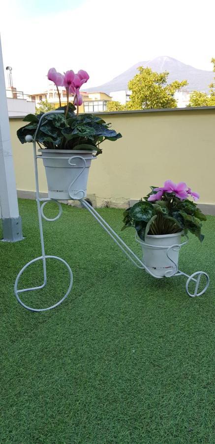 Pompei Vesevus Apartament Boscotrecase 外观 照片